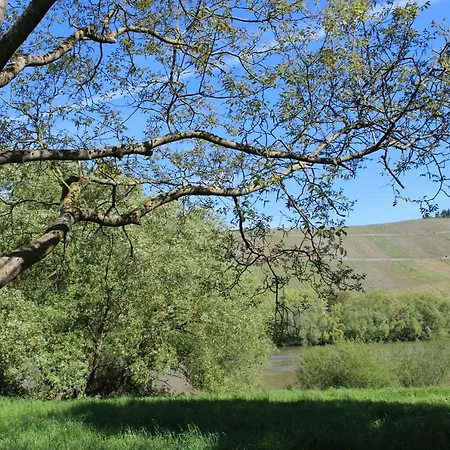 Apartmán Freis In Brauneberg