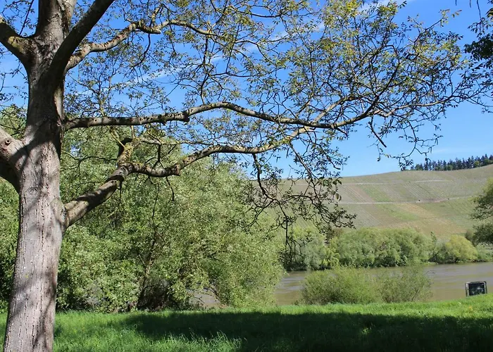 דירה Freis In בראונברג